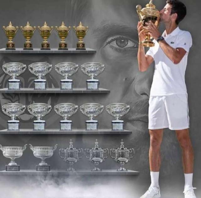 张奔斗：GOAT 德约科维奇